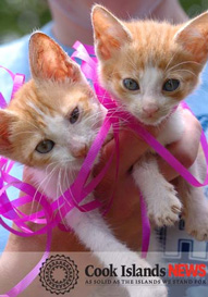 2KittensCINews