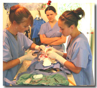 three in surgery