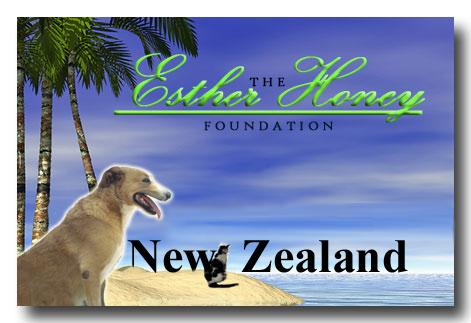 EHF NZ