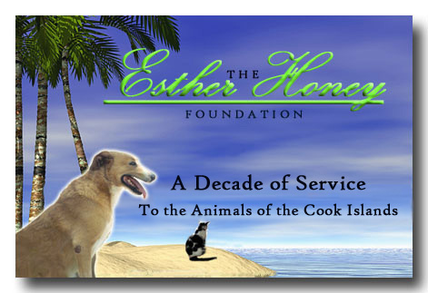 Decade Cooks