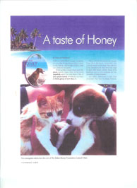 A Taste of Honey