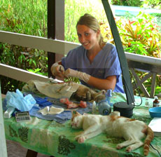 Aitutaki karen table