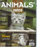 Animal Voice Cat