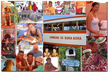 Bora Clinic Collage