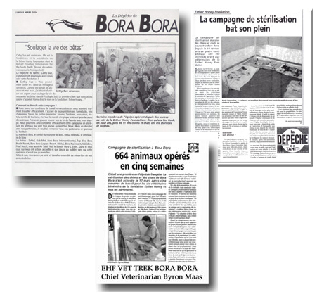 bora news collage