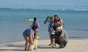 Animal planet on the beach sm