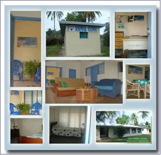 clinic collage