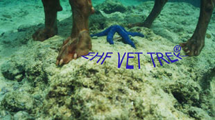 vet trek sign