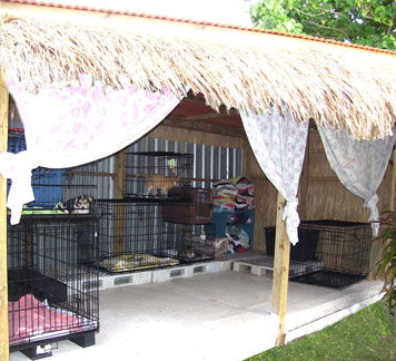 thatch roof extension