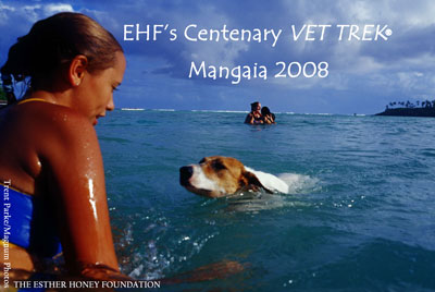 Mangaia vet trek 08