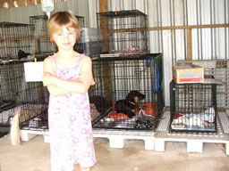 Neve with cages sm