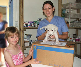 Neve with donations