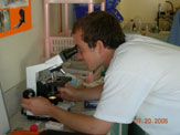 student microscope