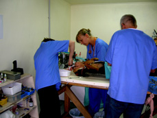 surgery suite