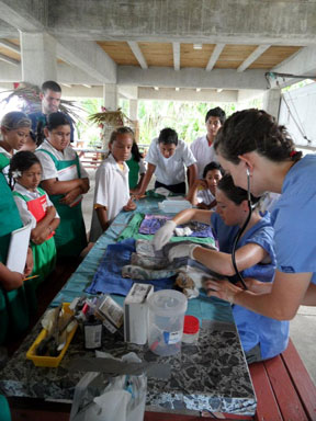 surgery Aitutaki II-11
