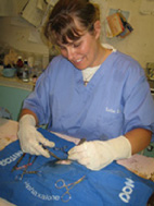 salsurg