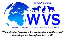 World Vets