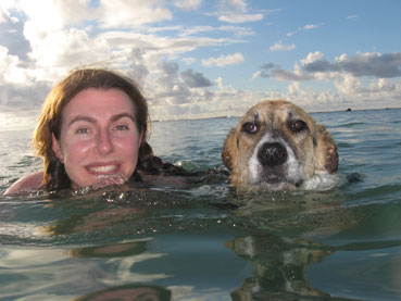 dog and vet face-off