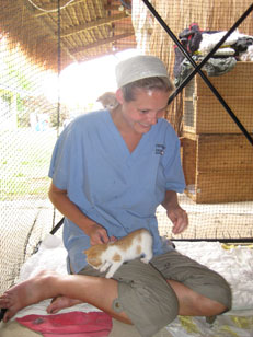 doc cats on back