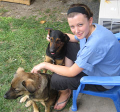 vet on chair