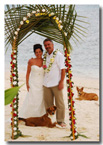 Wedding tiny